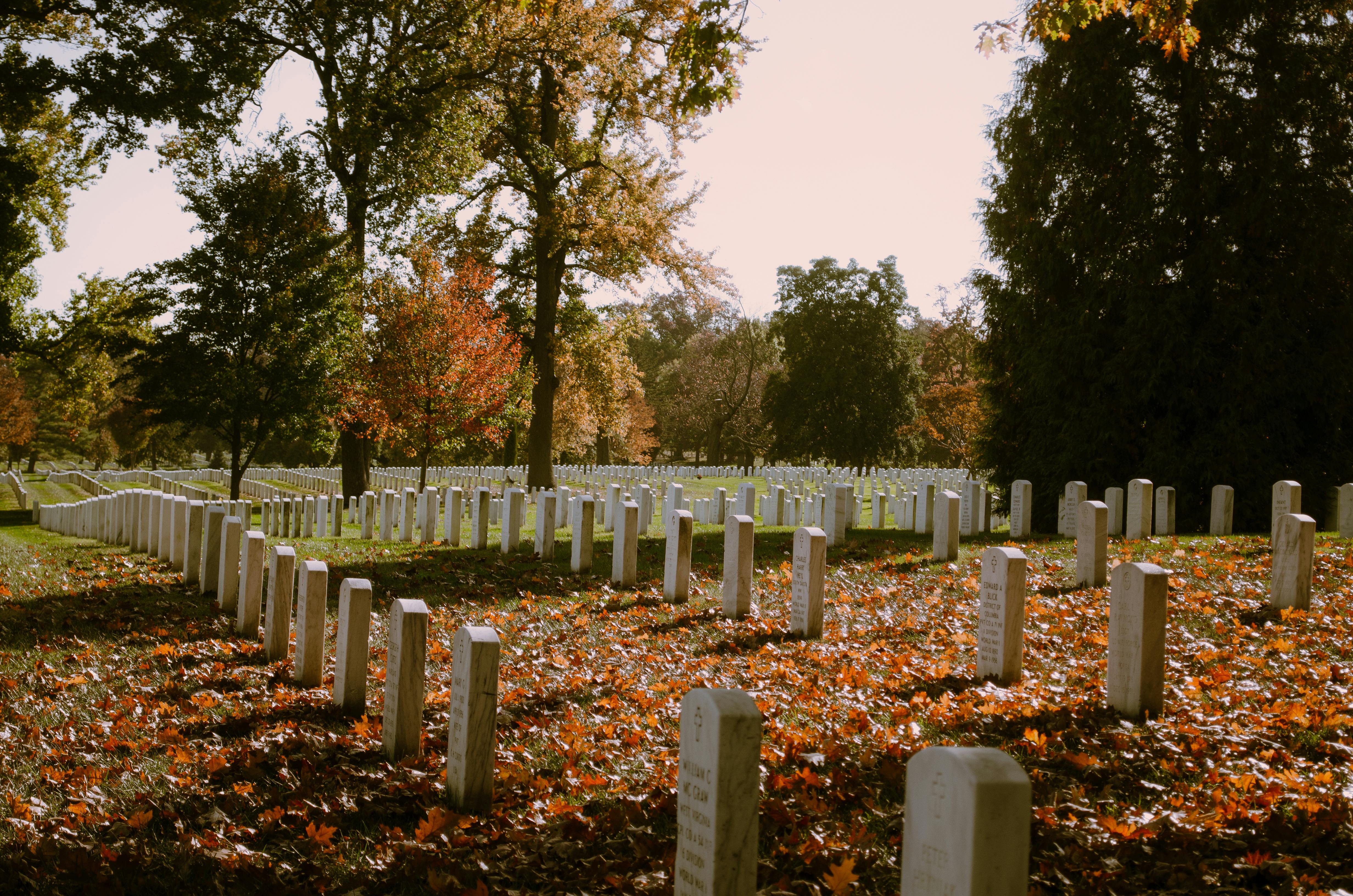 Arlington National Cemetary